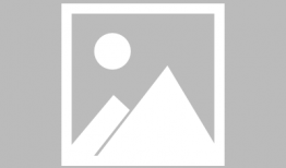 天麻豆是不是鹰嘴豆,探寻两种豆类的异同