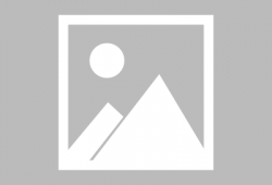 秘书漫画,职场智慧与日常趣事