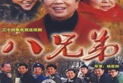 八兄弟电视剧,血脉相连，共筑家国梦